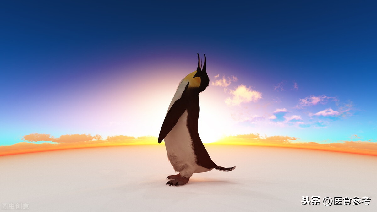 八学企鹅走八字步其口诀是膝盖微曲脚放平重心下沉眼看路两只胳膊别插