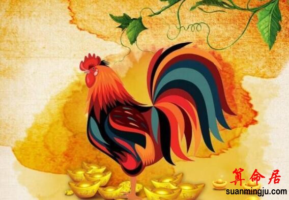 生肖鸡：出生在以下4个时辰好命好财，赶紧对照看看！