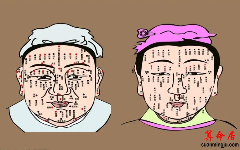 [面相运势图解]面相十二宫之命宫